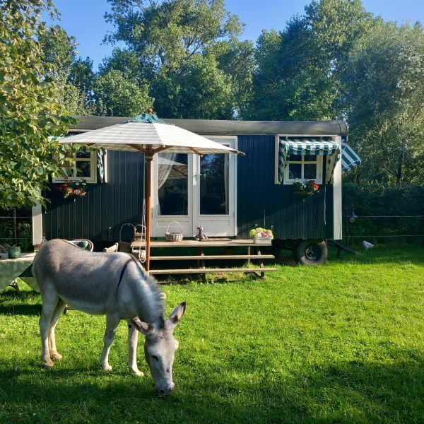 Foto 1: Vakantiehuis Dishoekseweg 30 Koudekerke-Dishoek Zeeland